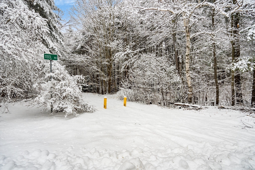 750 Teel Road Winchendon, MA 01475 - Photo 23 of 41 a view of large trees with snow on the road