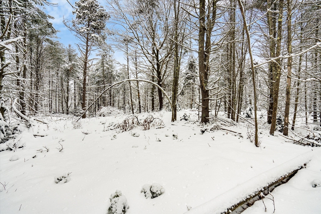 750 Teel Road Winchendon, MA 01475 - Photo 35 of 41 a view of snow on the road
