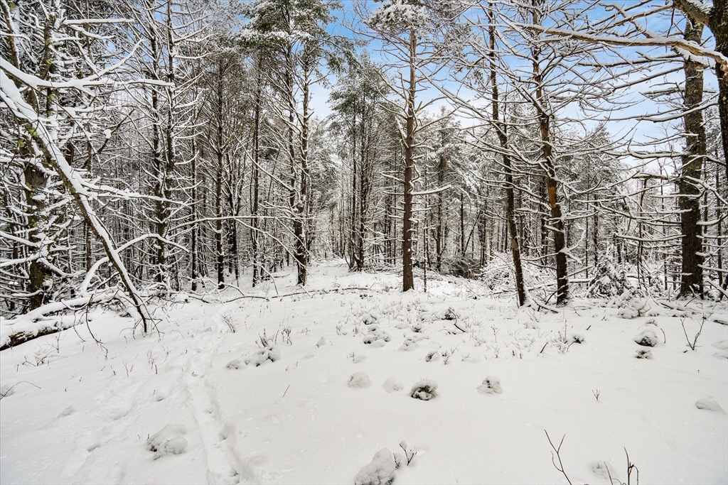 750 Teel Road Winchendon, MA 01475 - Photo 36 of 41 a view of snow on the road