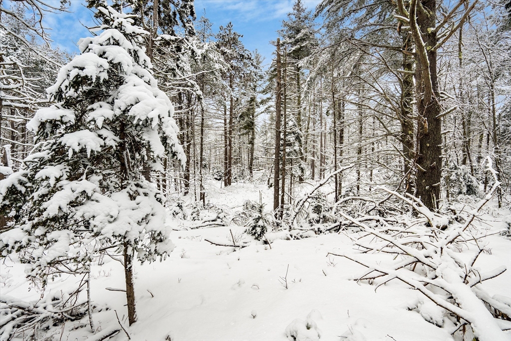 750 Teel Road Winchendon, MA 01475 - Photo 38 of 41