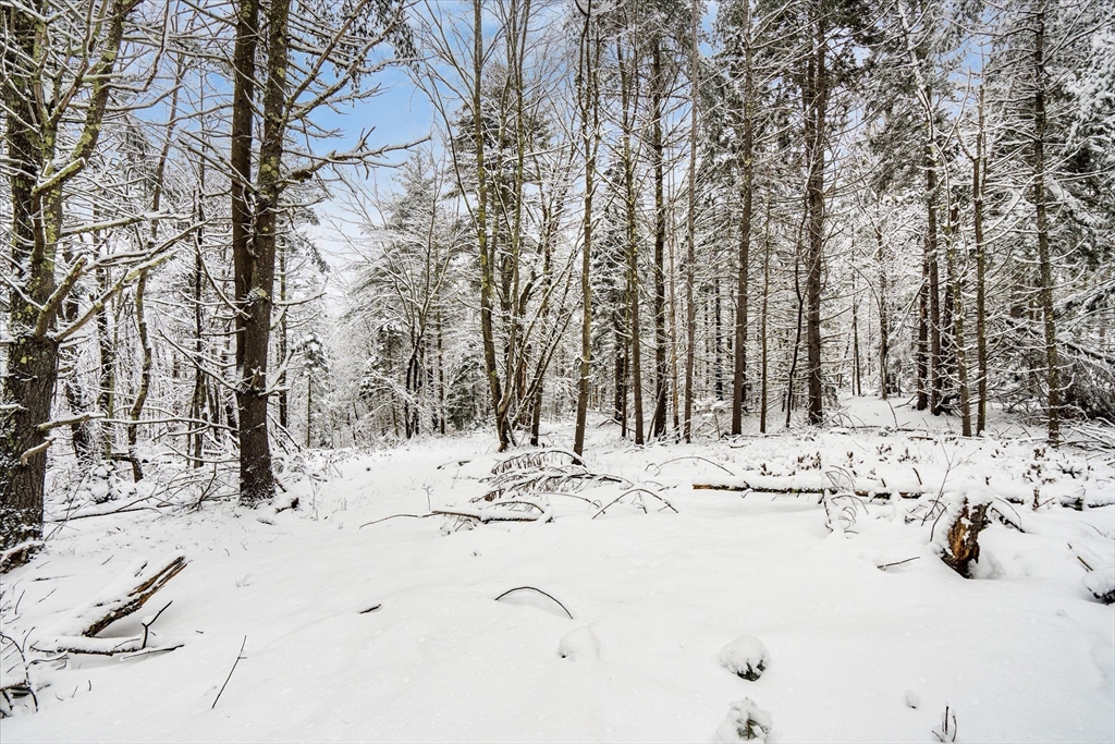 750 Teel Road Winchendon, MA 01475 - Photo 40 of 41 a view of a backyard of snow