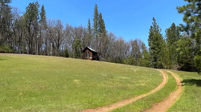 a view of a swimming pool with trees in the background