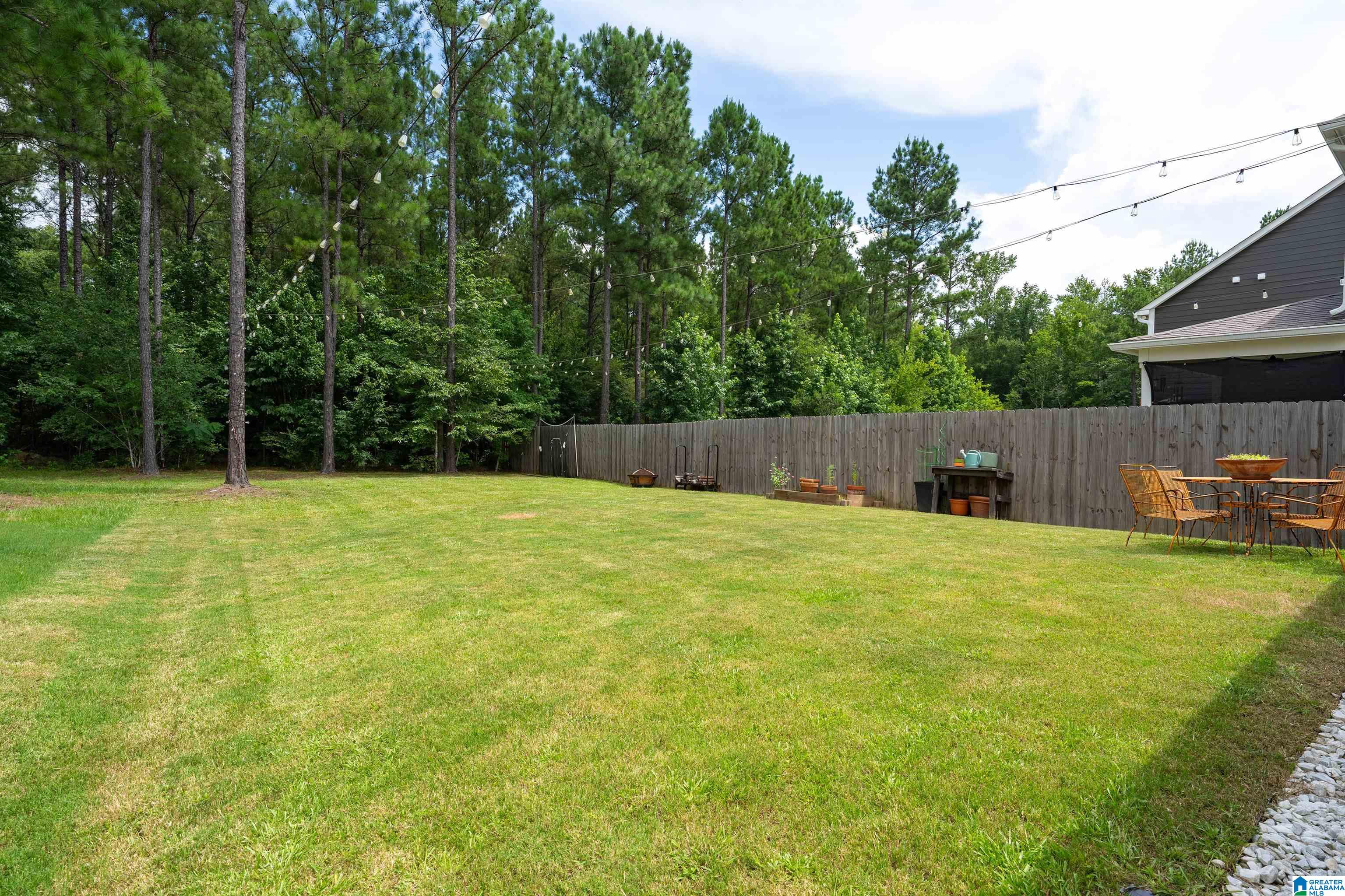 184 Chelsea Park Road Chelsea, AL 35043 - Photo 25 of 25