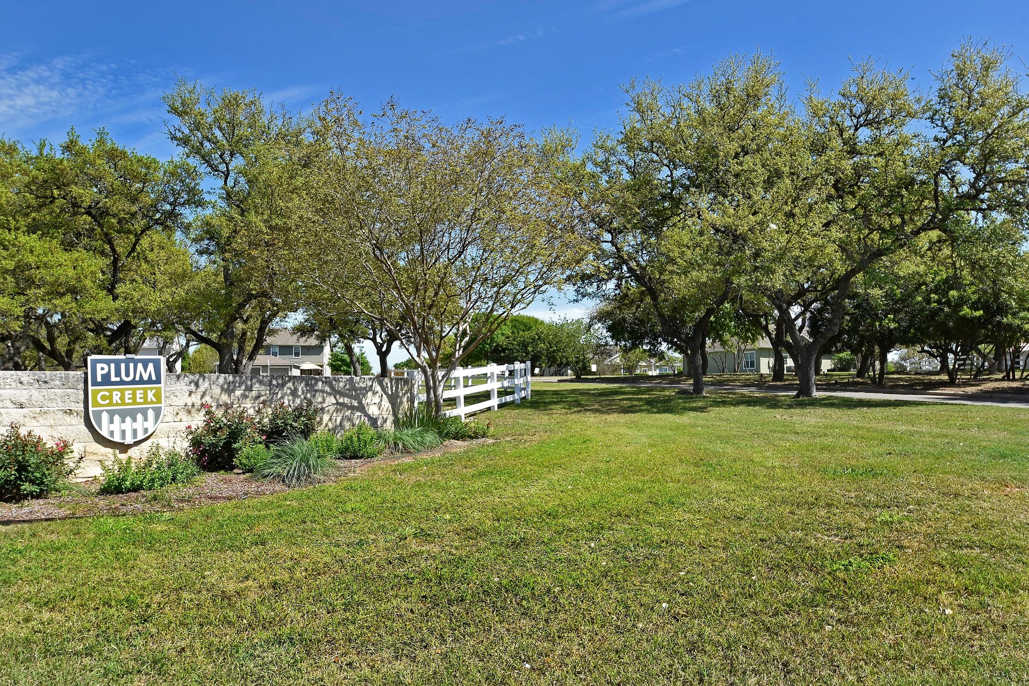 332 Wetzel Kyle, TX 78640 - Photo 25 of 31 a view of a park with large trees