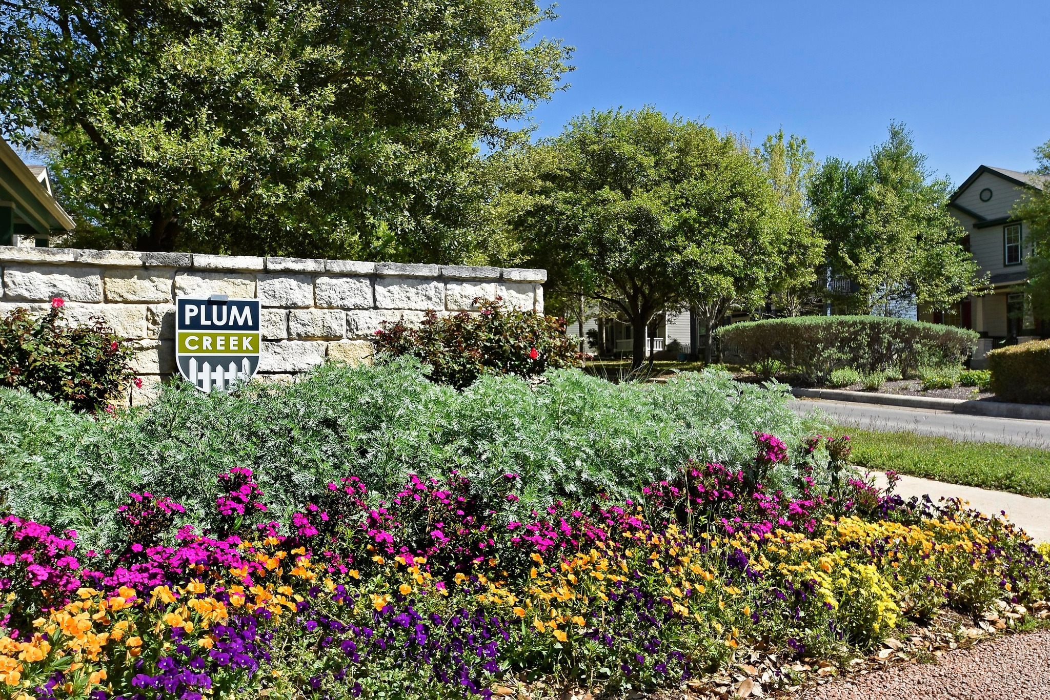 332 Wetzel Kyle, TX 78640 - Photo 31 of 31 a view of a bunch of flowers in front of a house