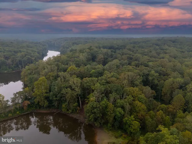 a view of a lake in middle of forest