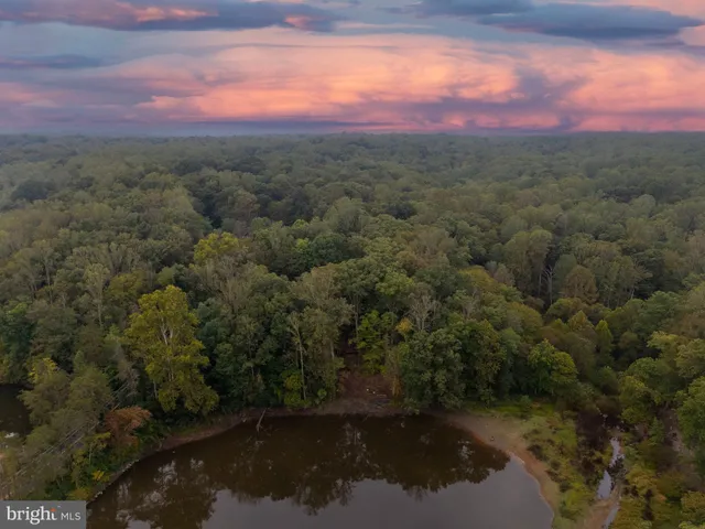 a view of a forest with a yard