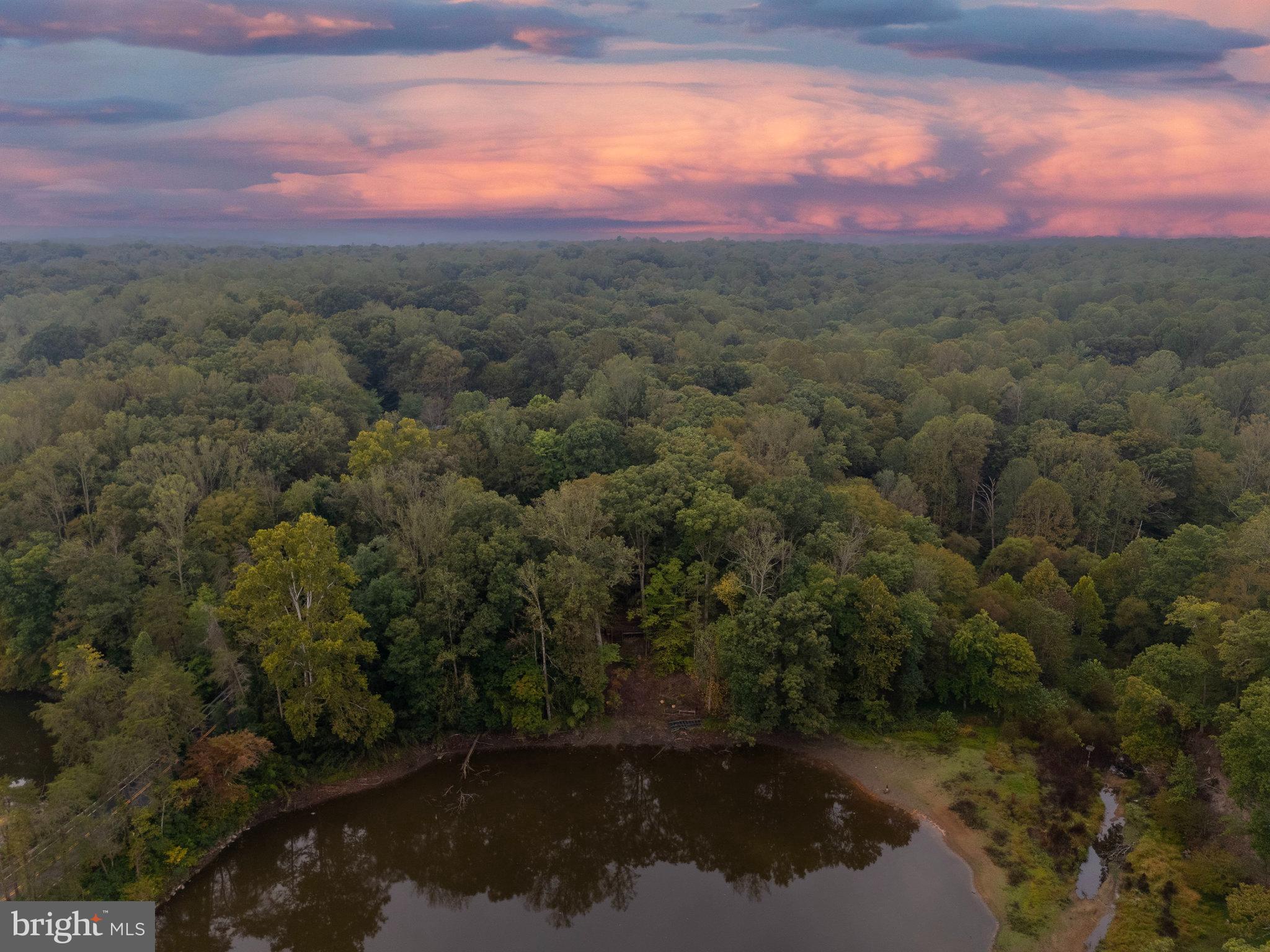 10400 Hampton Road Fairfax Station, VA 22039 - Photo 3 of 53 a view of a forest with a yard