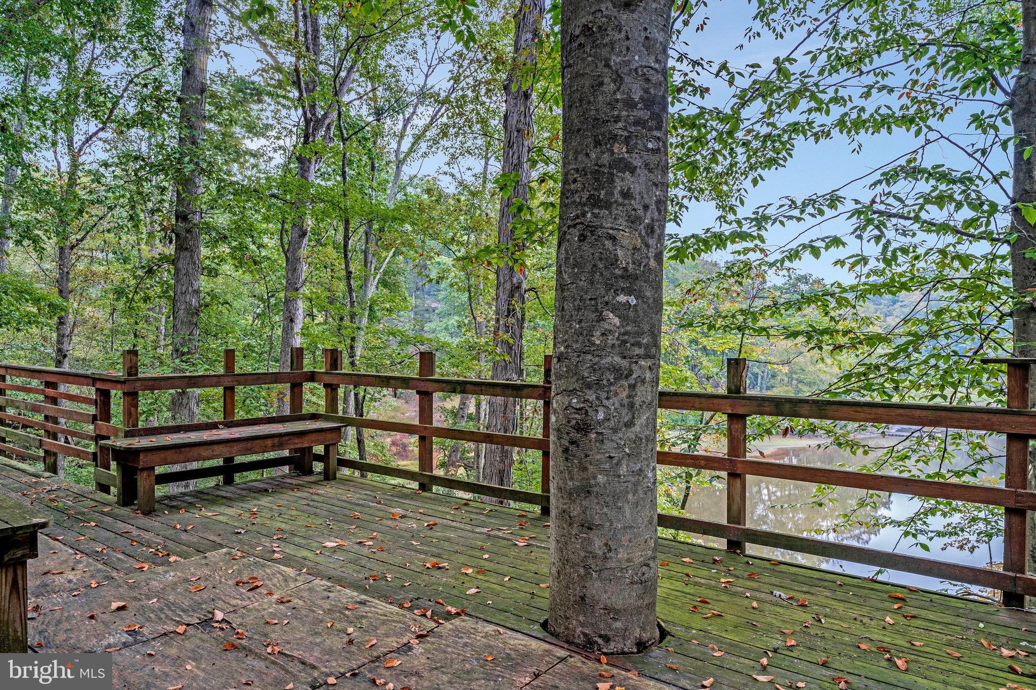 10400 Hampton Road Fairfax Station, VA 22039 - Photo 44 of 53 a view of a bench in a yard