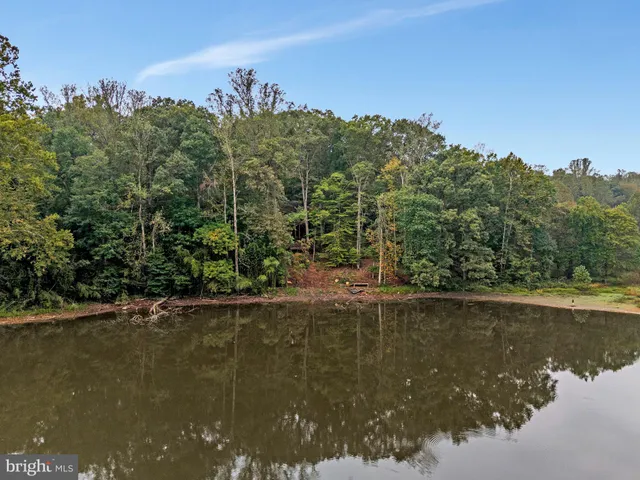 a view of a lake with large trees