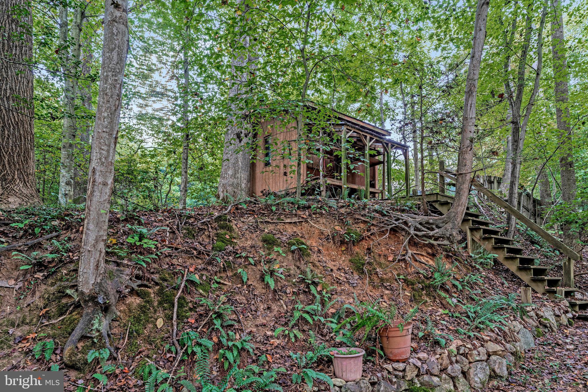 10400 Hampton Road Fairfax Station, VA 22039 - Photo 9 of 53 a backyard of a house with lots of green space