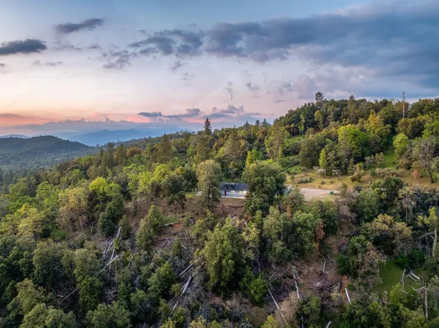 a view of a city with lush green forest