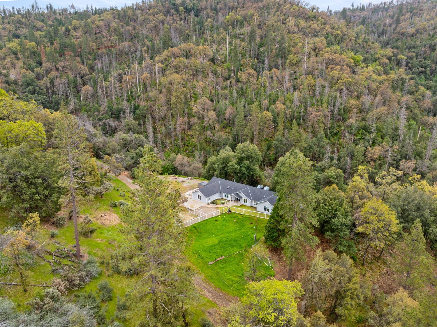 36345 Mudge Ranch Road Coarsegold, CA 93614 - Photo 45 of 51 a view of a house with a yard