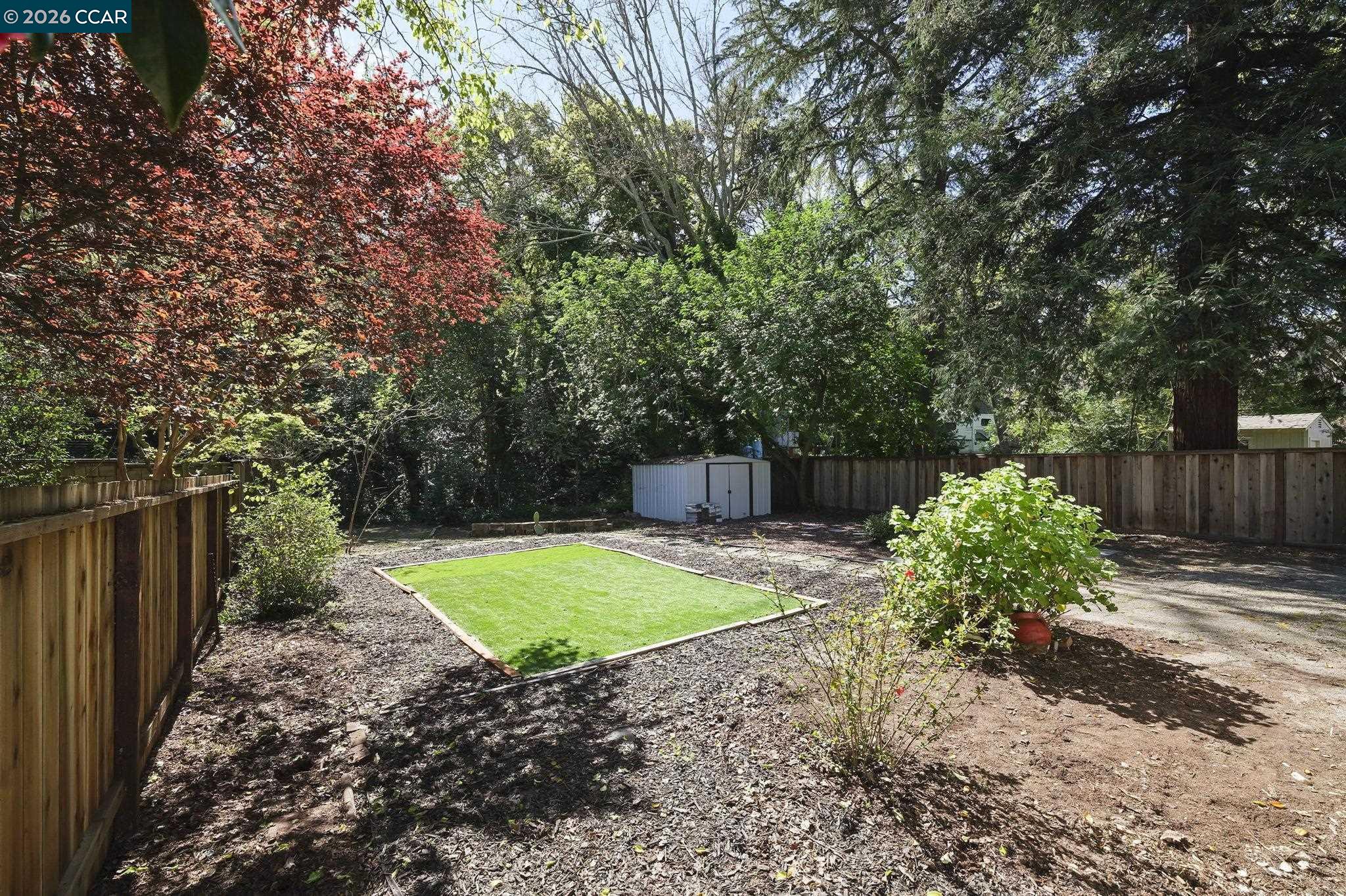 3597 Walnut Street Lafayette, CA 94549 - Photo 6 of 21