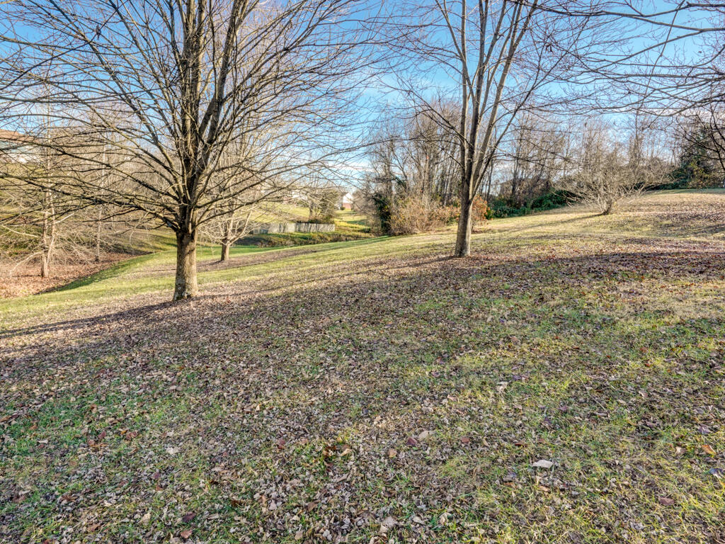 166 Stage Road Jonesborough, TN 37659 - Photo 11 of 48 166 Stage Road MLS011