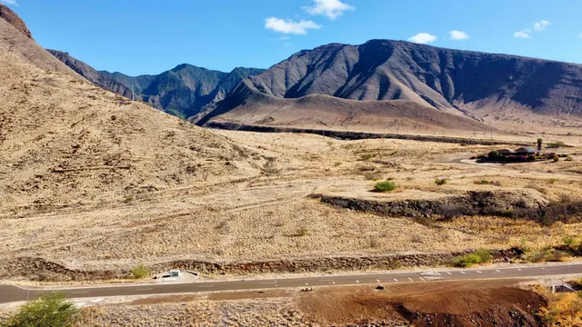 a view of a dry yard with wooden fence
