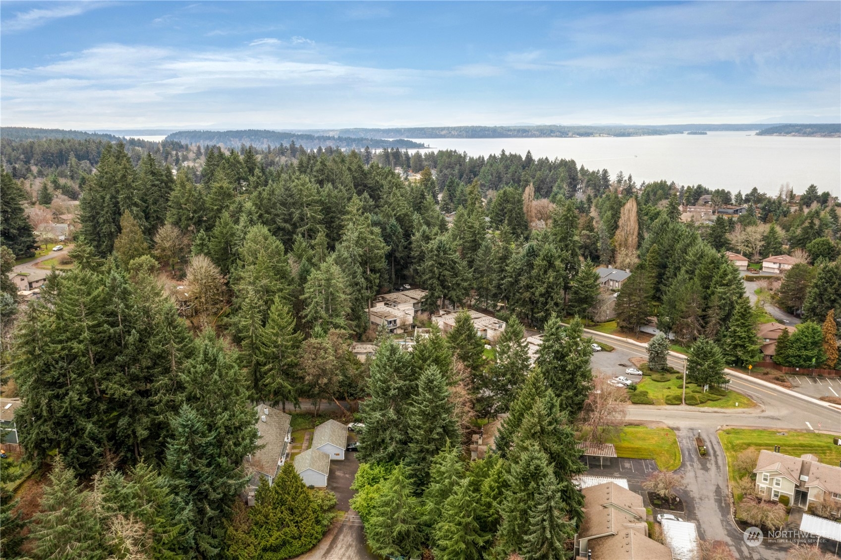 203 View Road Steilacoom, WA 98388 - Photo 22 of 22 a view of a city from a yard