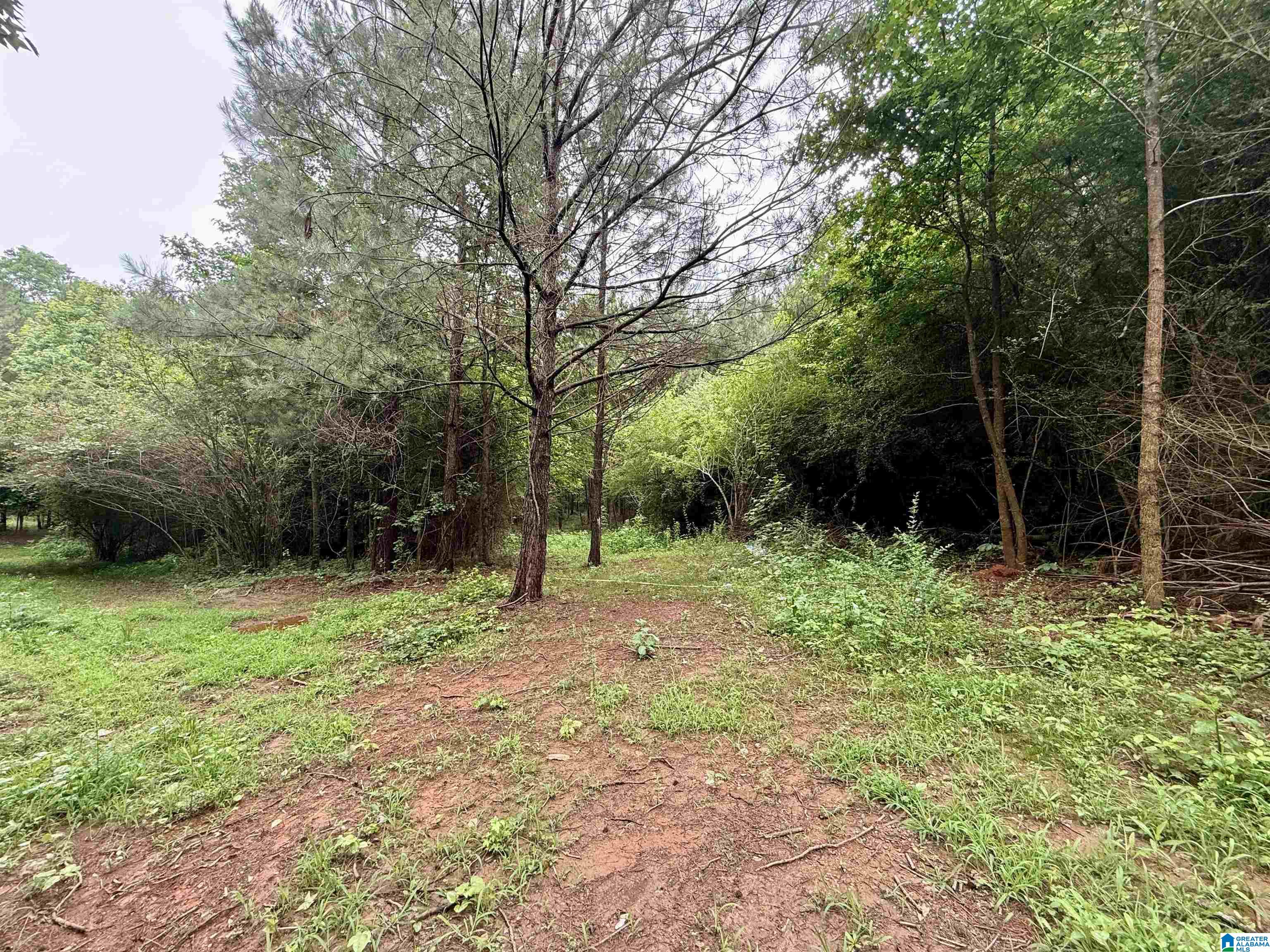 686 Tanyard Hill Road Sylacauga, AL 35151 - Photo 33 of 34