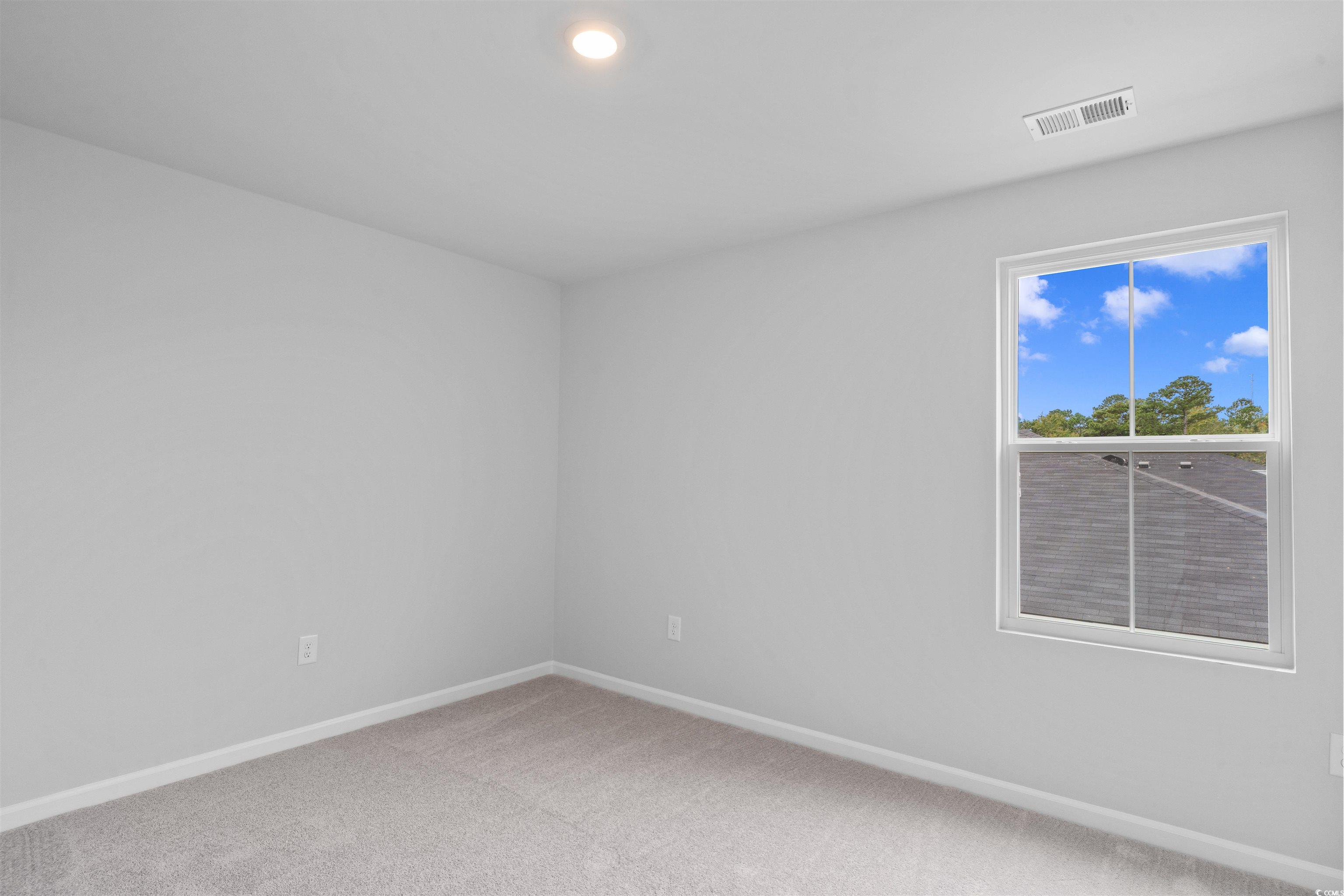 409 Ribbon Rail Way Loris, SC 29569 - Photo 21 of 39 Unfurnished room featuring carpet flooring