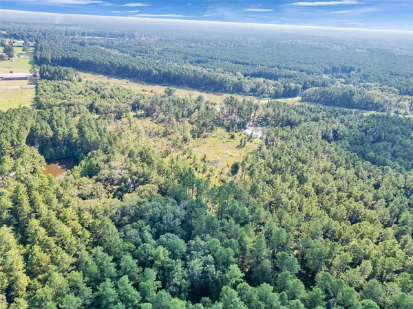 $170,000 | 211 Thomas Windt Road, Shepherd, TX 77371