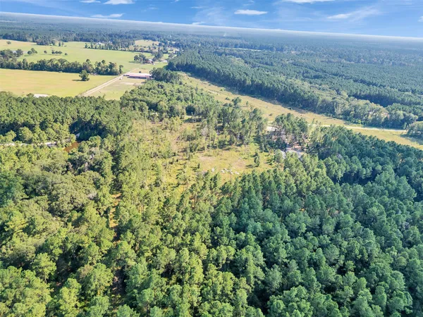 $170,000 | 211 Thomas Windt Road, Shepherd, TX 77371