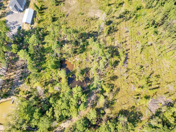 $170,000 | 211 Thomas Windt Road, Shepherd, TX 77371