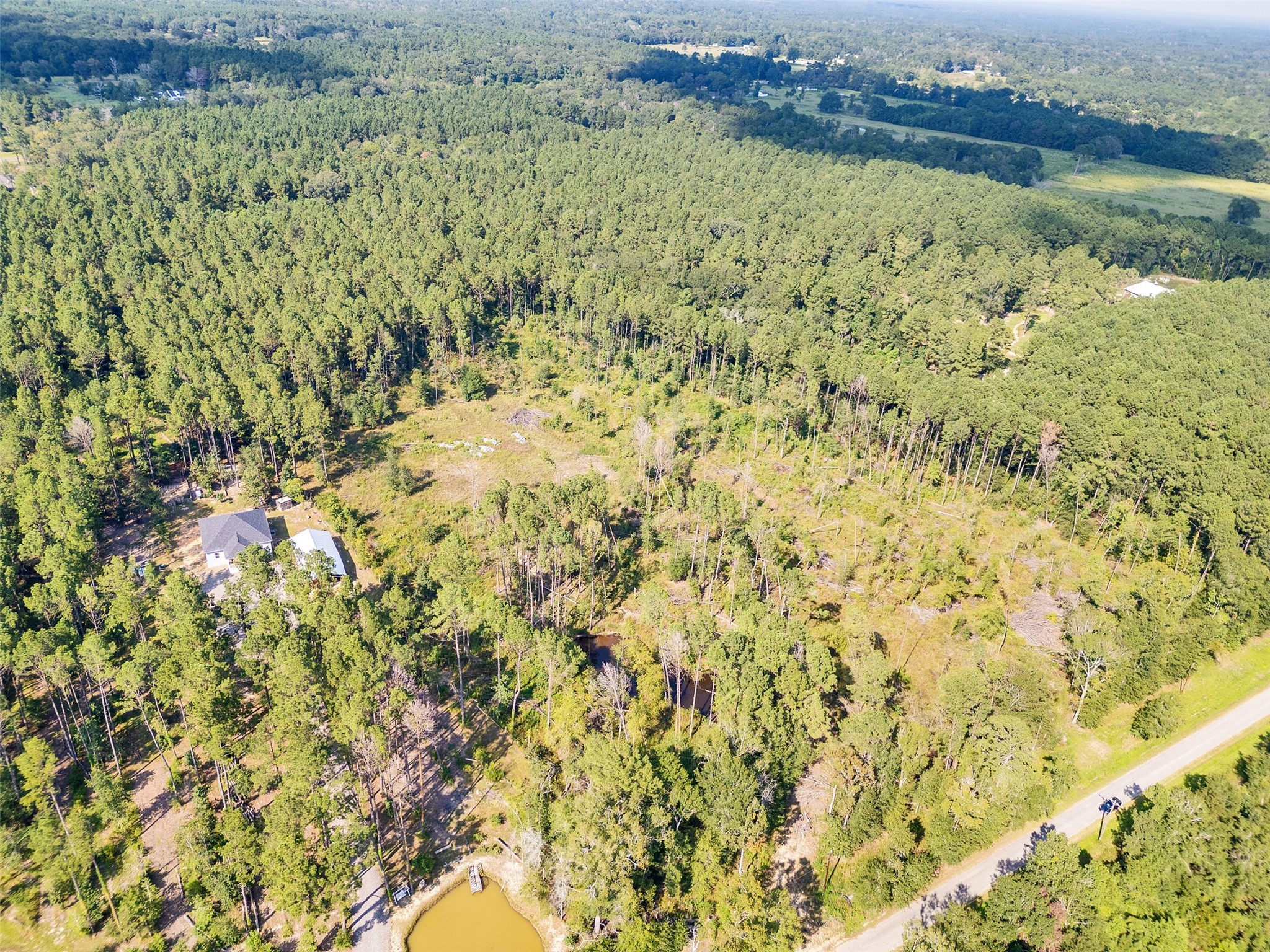 211 Thomas Windt Road Shepherd, TX 77371 - Photo 7 of 10