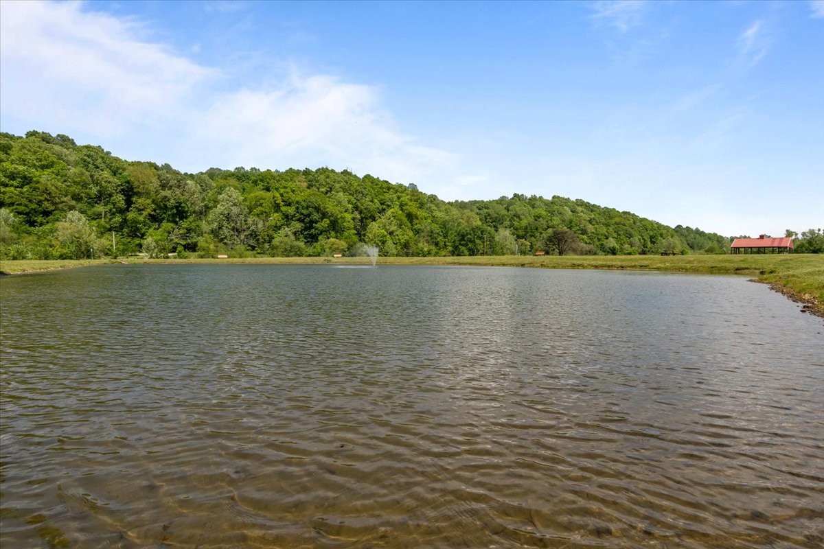 0 Western Road Waverly, TN 37185 - Photo 8 of 18