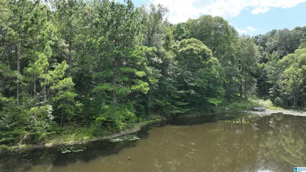 $9,900 | 0 Oak Creek Road, Fayette, AL 35555