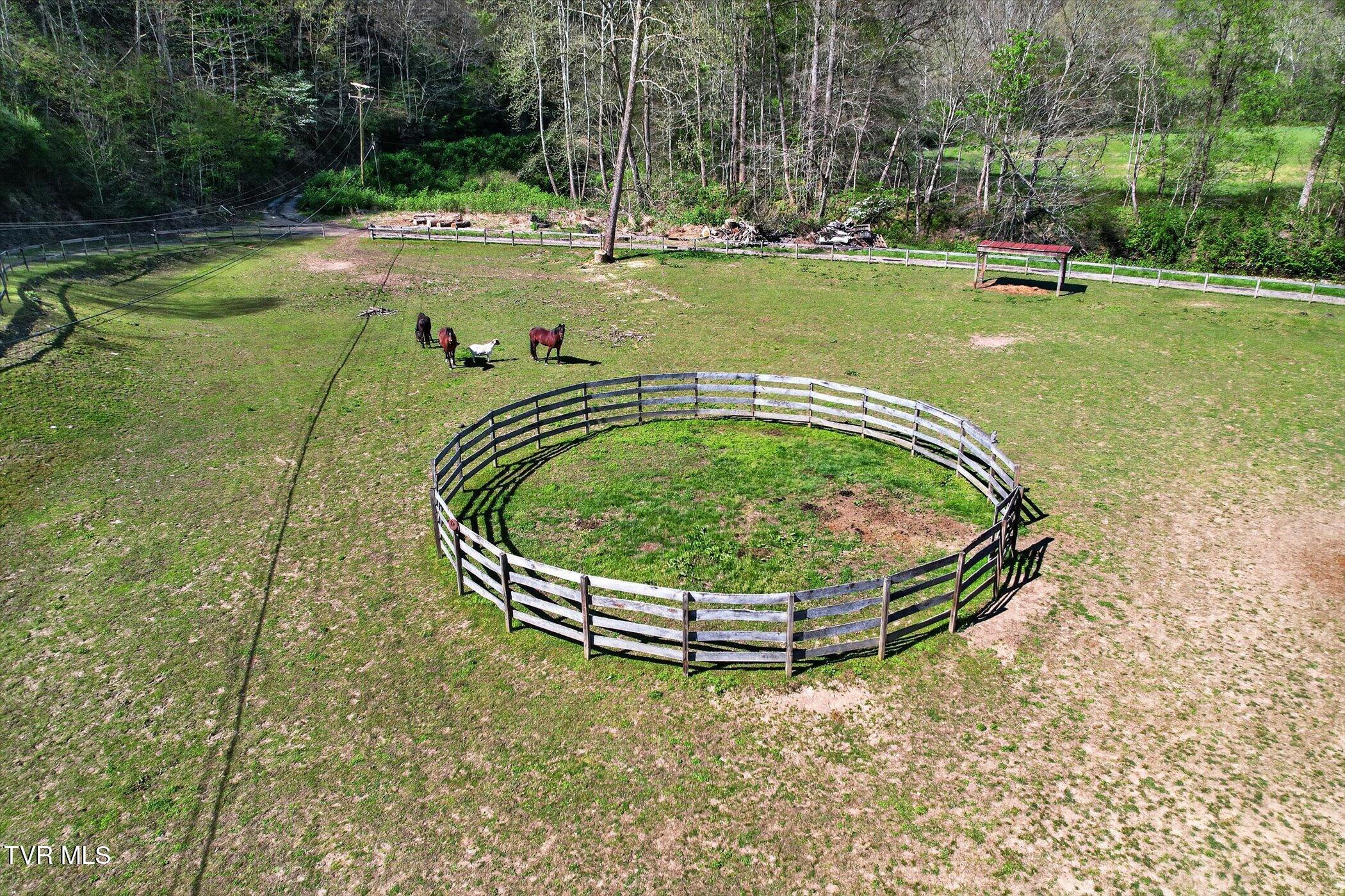 11343 Robinson Hollow Road Wise, VA 24293 - Photo 8 of 53 62-11401-Robinson-Hollow-Rd-WindowStill-