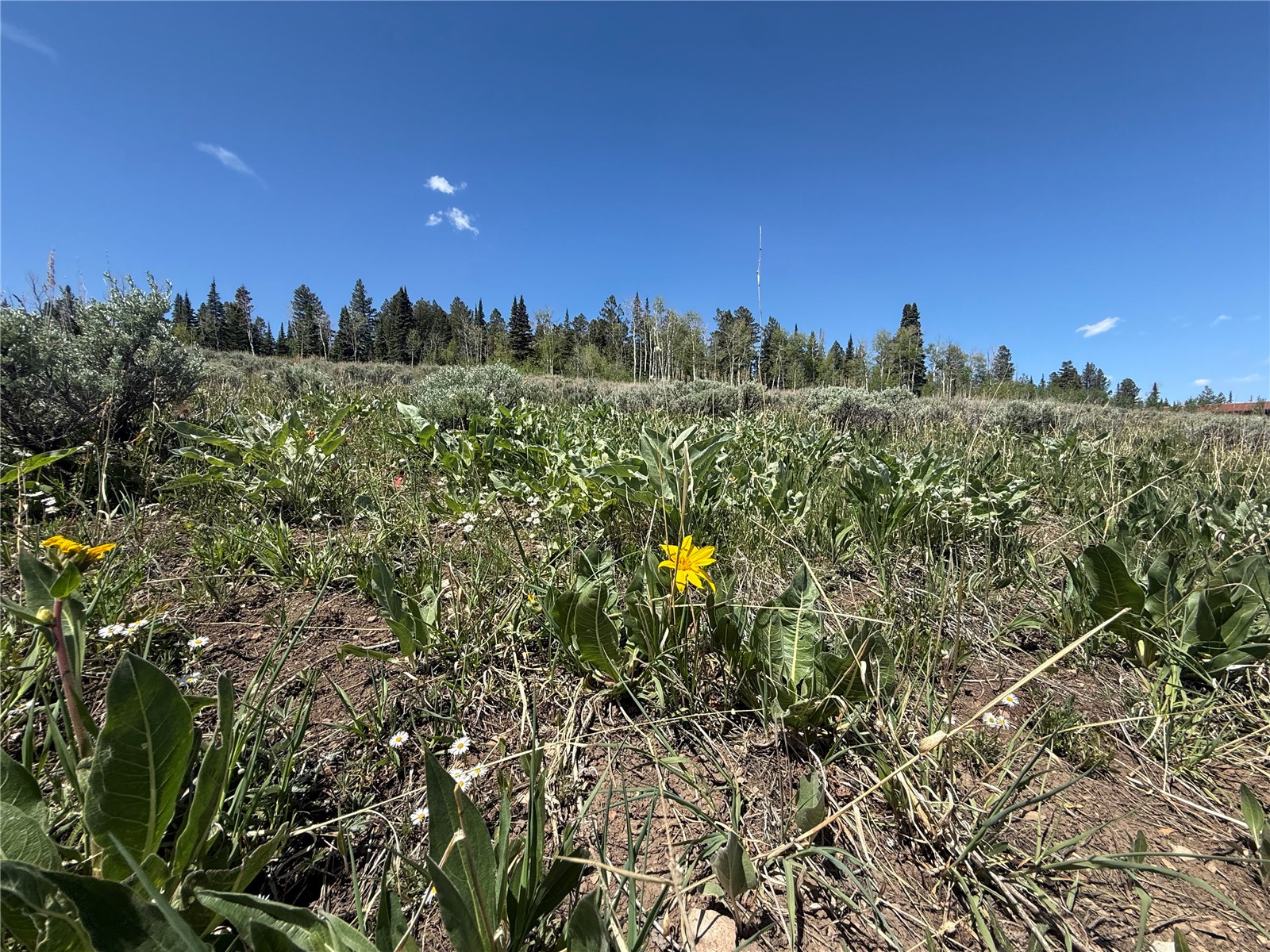 Tbd Spring Creek Ranch Road Silverthorne, CO 80498 - Photo 47 of 48