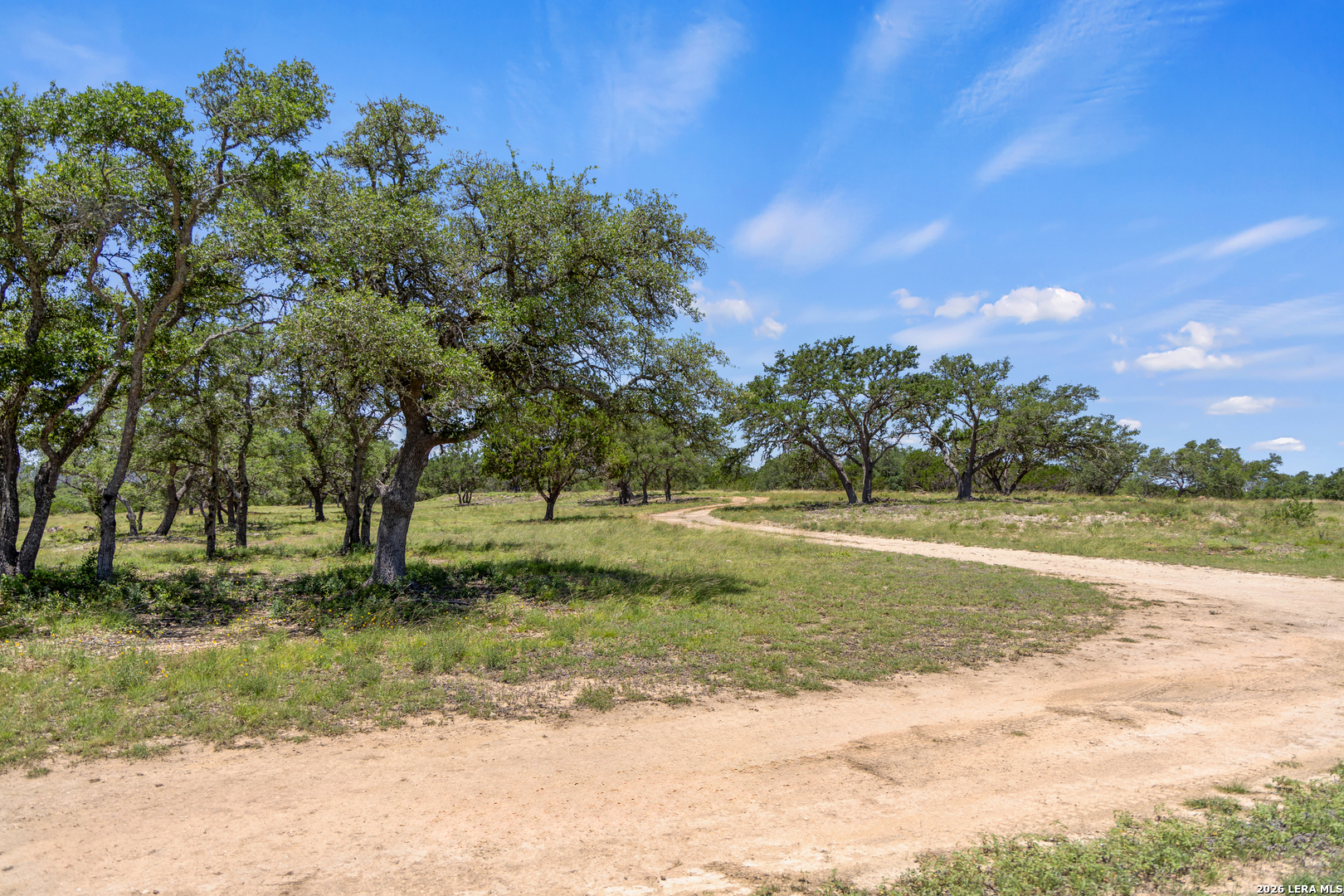 1 Lindeman Kendalia, TX 78027 - Photo 4 of 12 a view of a yard with a tree