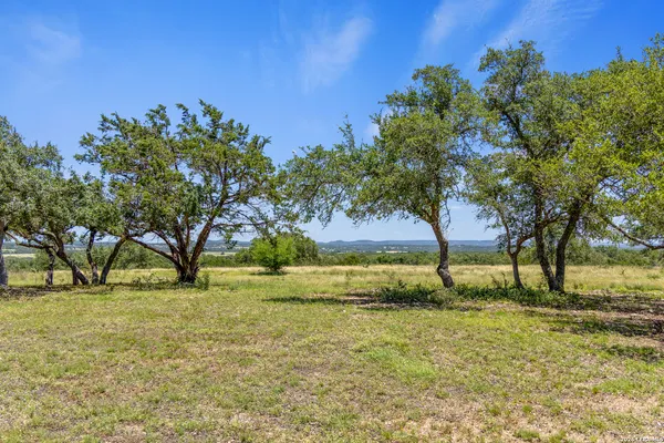 a view of yard with tree