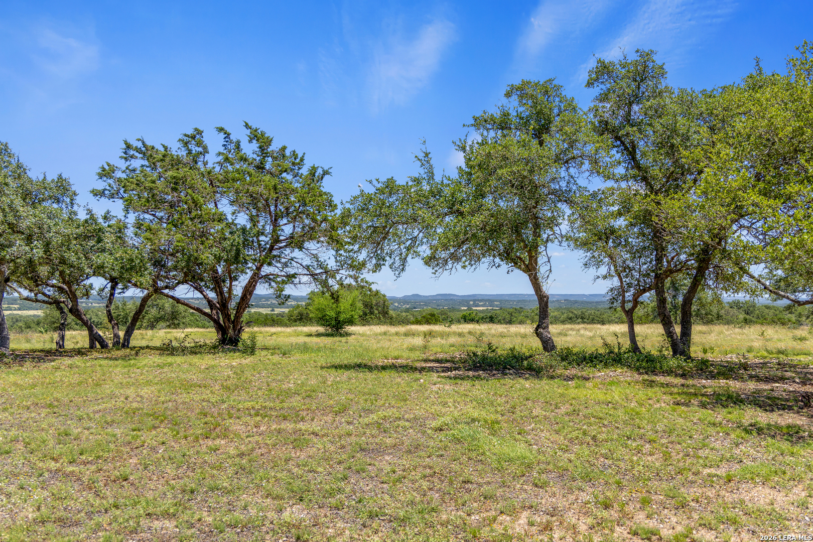 1 Lindeman Kendalia, TX 78027 - Photo 5 of 12 a view of yard with tree
