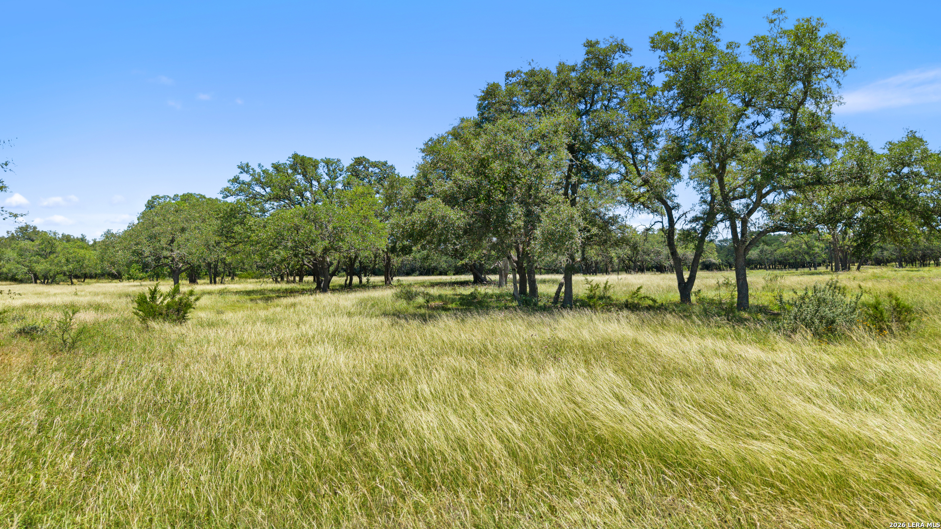 1 Lindeman Kendalia, TX 78027 - Photo 6 of 12 a view of swimming pool with yard