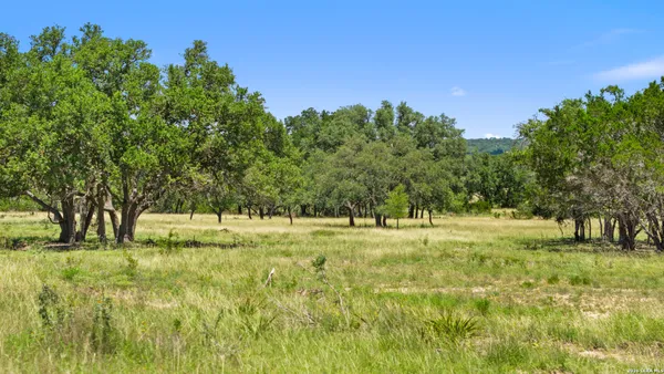 a big yard with trees in the background