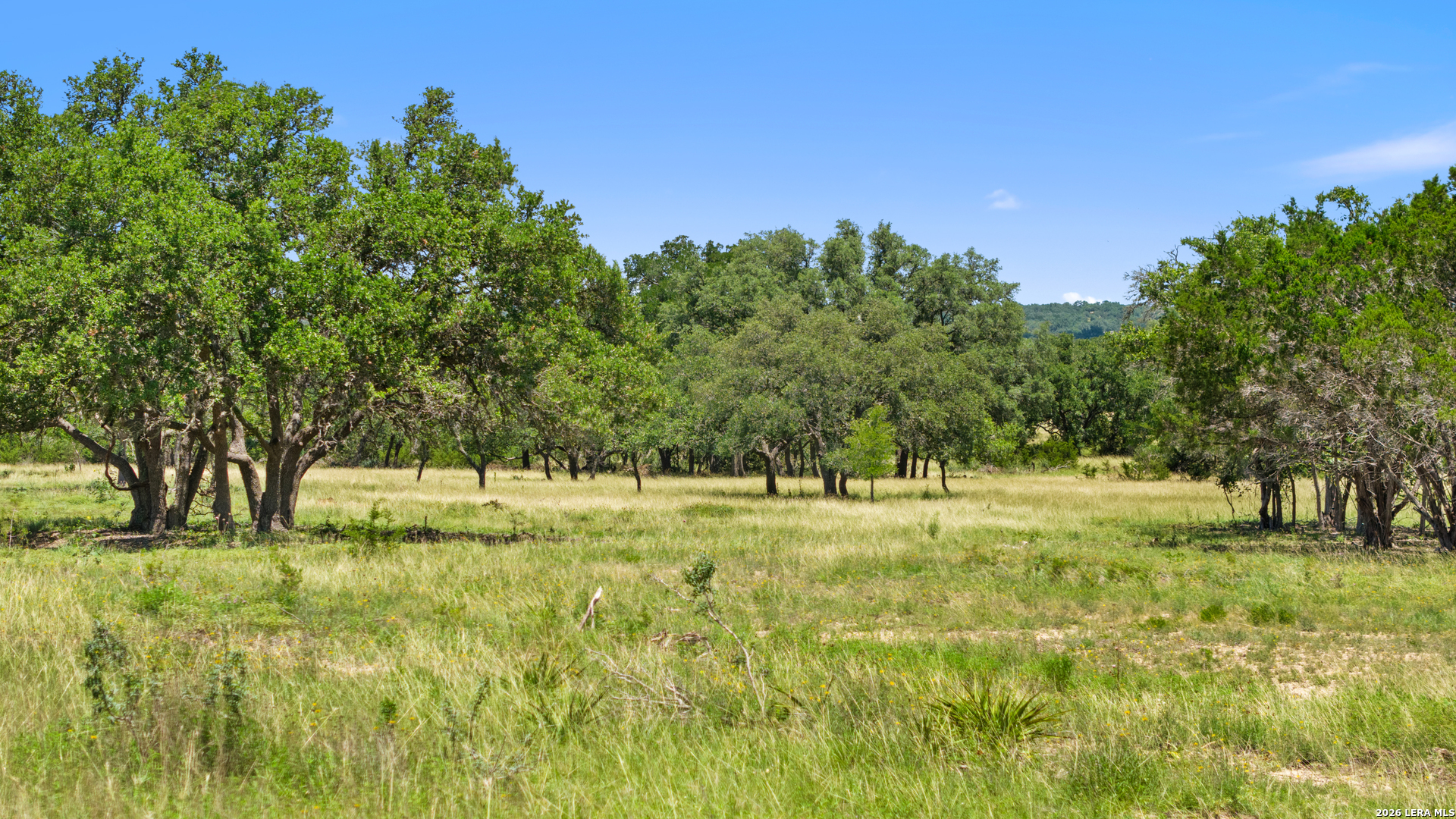 1 Lindeman Kendalia, TX 78027 - Photo 9 of 12 a big yard with trees in the background