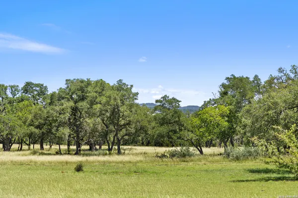 a view of a green field