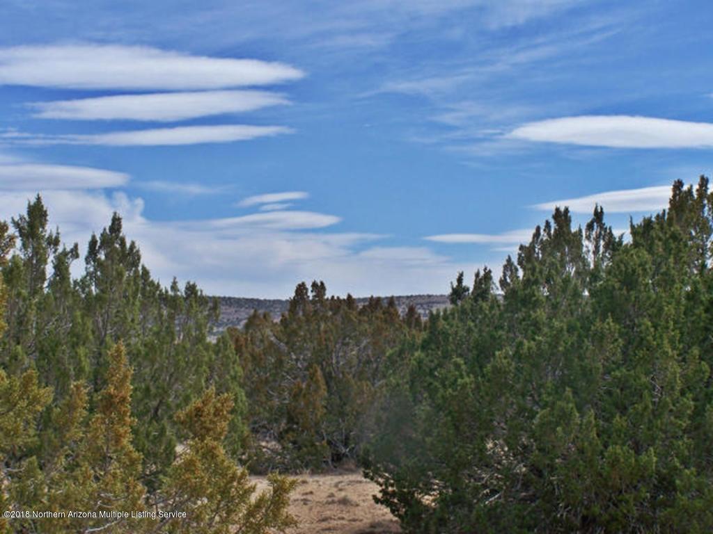 25415 Fort Rock Road Seligman, AZ 86337 - Photo 1 of 8 land