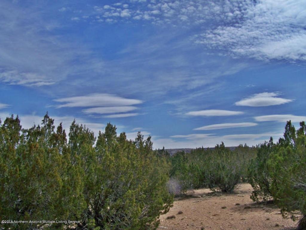 25415 Fort Rock Road Seligman, AZ 86337 - Photo 3 of 8 20160306050155132733000000-oReSize