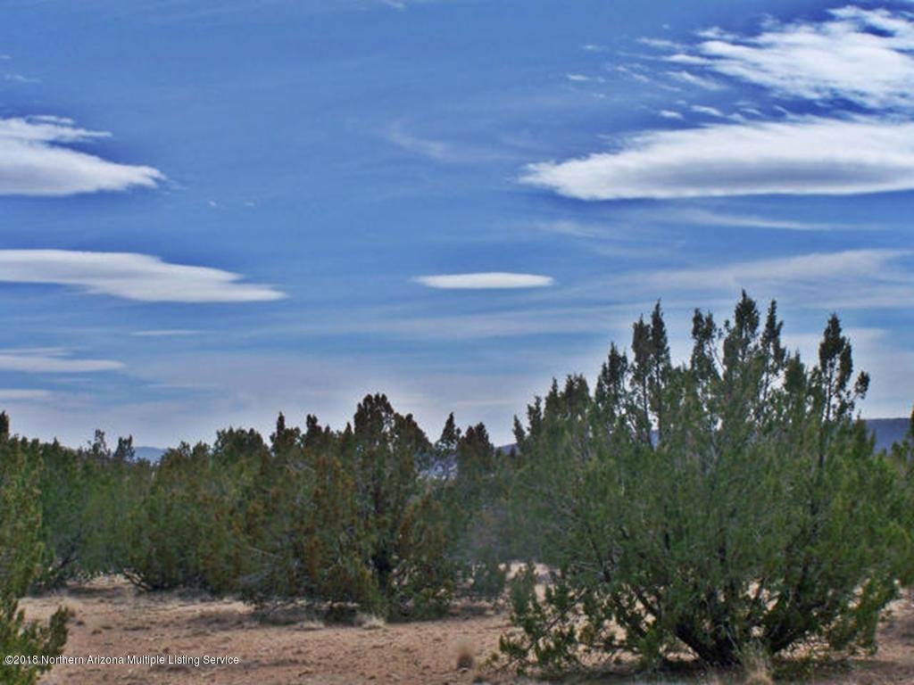 25415 Fort Rock Road Seligman, AZ 86337 - Photo 4 of 8 20160306050241467990000000-oReSize