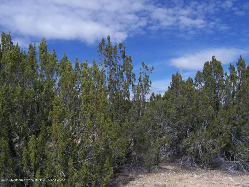 25415 Fort Rock Road Seligman, AZ 86337 - Photo 6 of 8 20160306050525015435000000-oReSize