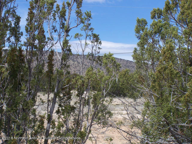 25415 Fort Rock Road Seligman, AZ 86337 - Photo 8 of 8 20160306050730729001000000-o