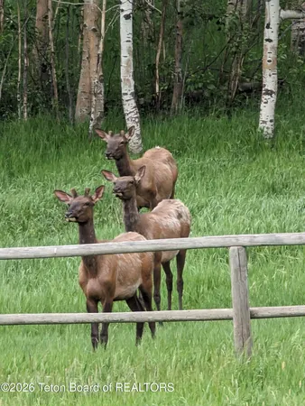 $2,700,000 | 49 Dell Creek Road, Alpine, WY 83128