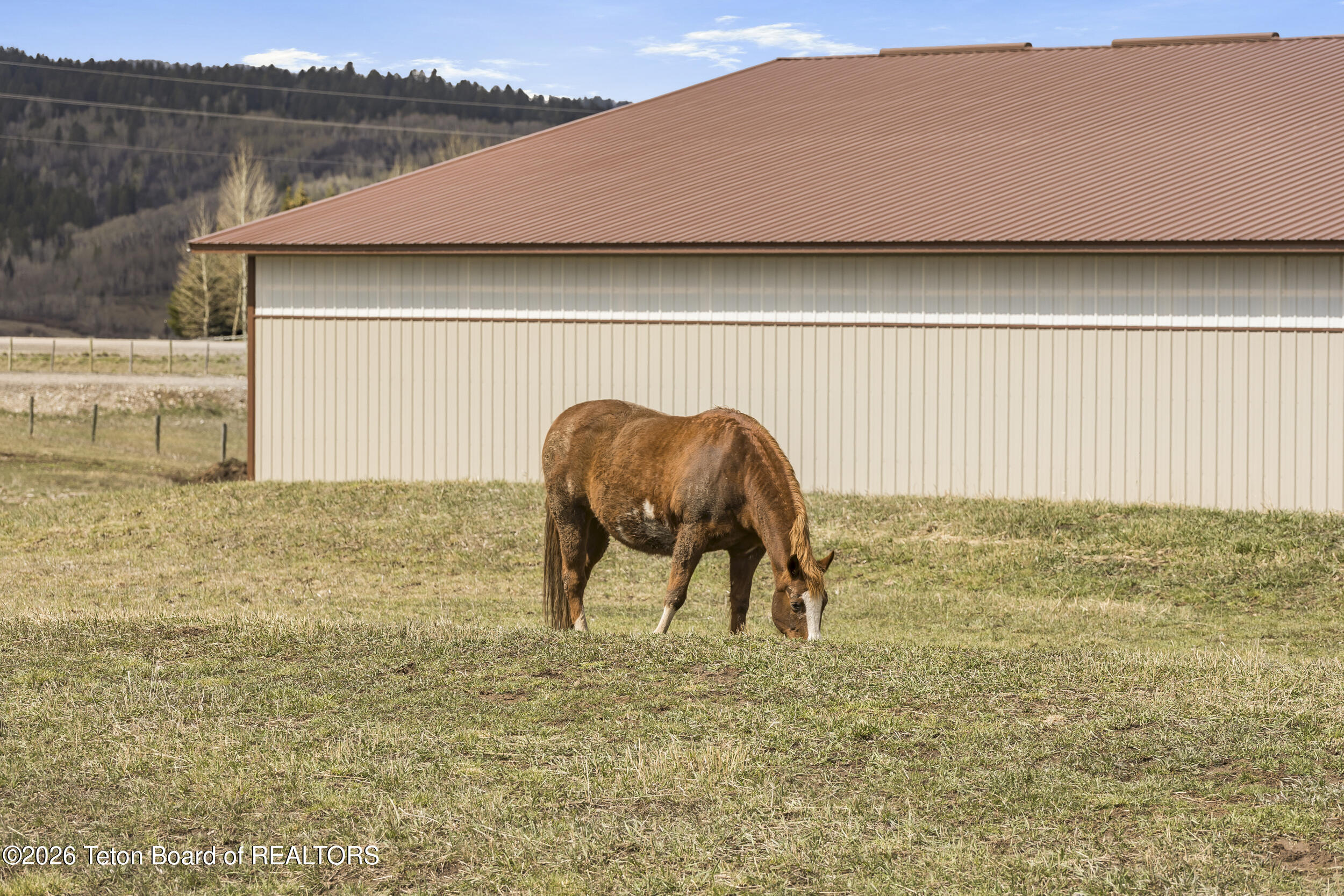 49 Dell Creek Road Alpine, WY 83128 - Photo 74 of 76 70_2g0a1330