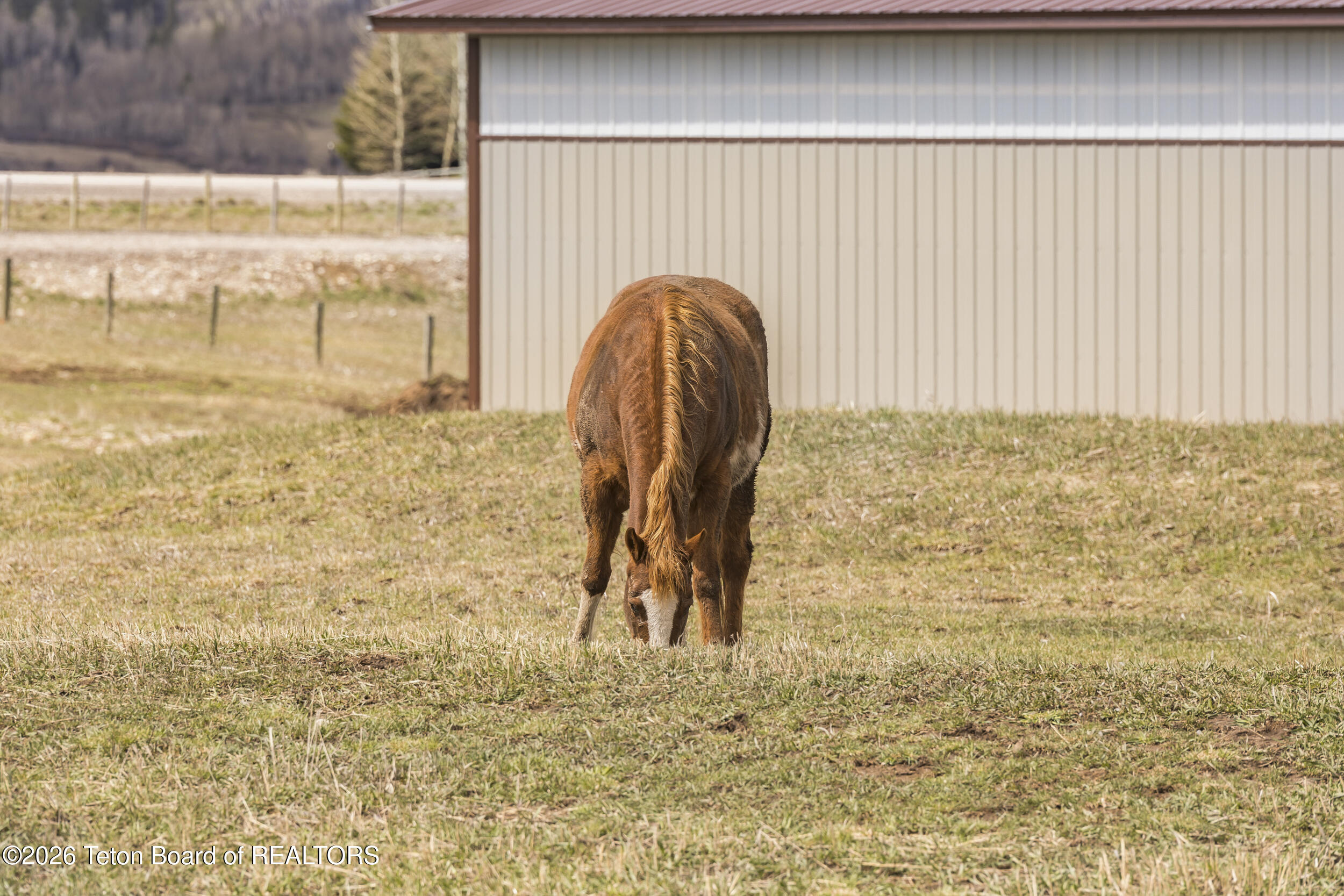 49 Dell Creek Road Alpine, WY 83128 - Photo 75 of 76 69_2g0a1320