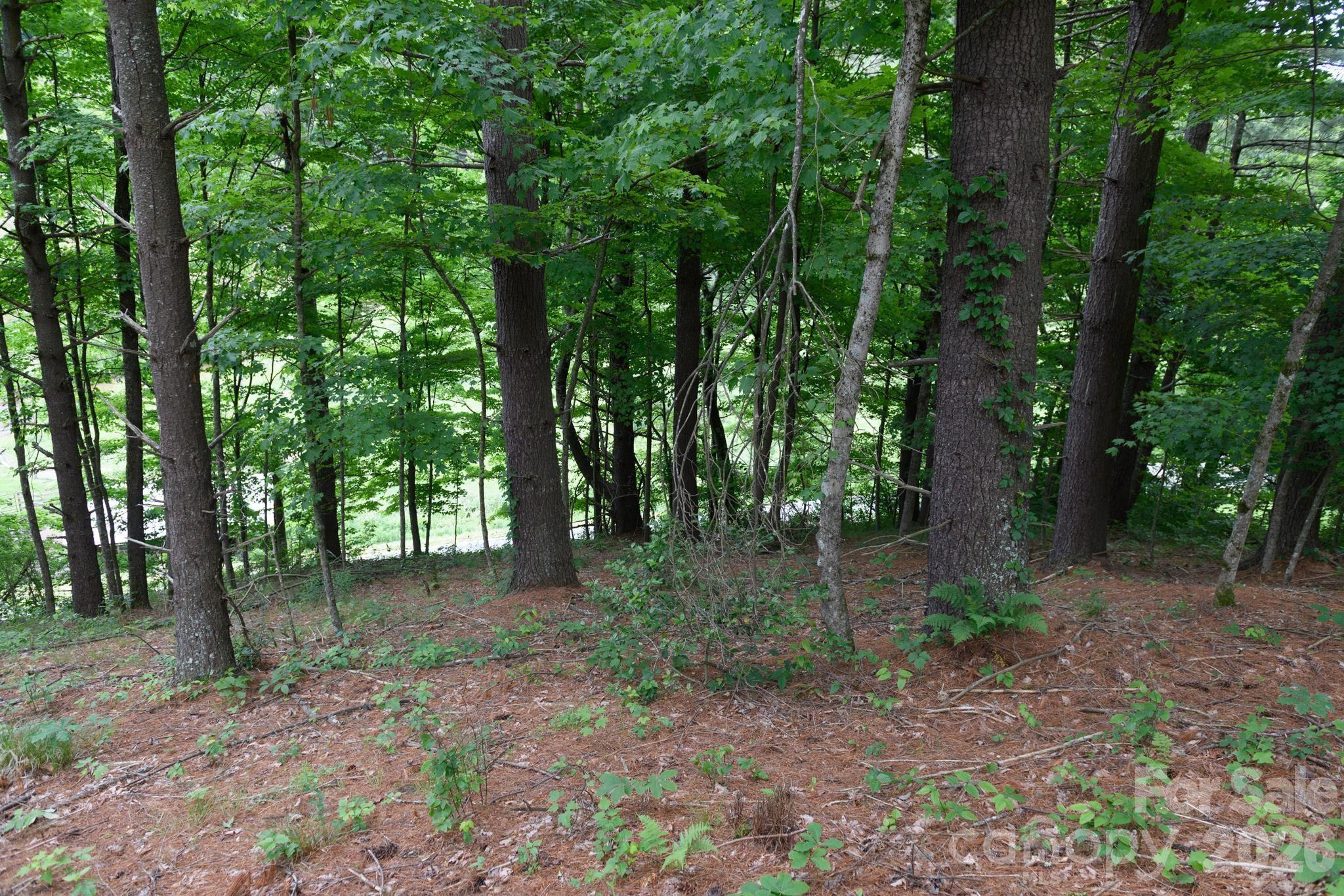 Tbd Tbd Sycamore Road Vilas, NC 28692 - Photo 22 of 38