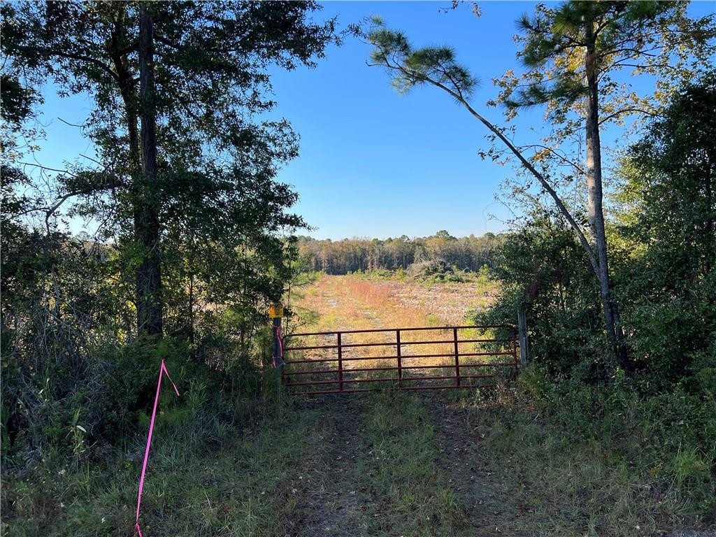 99 Highway 99 Townsend, GA 31331 - Photo 34 of 36