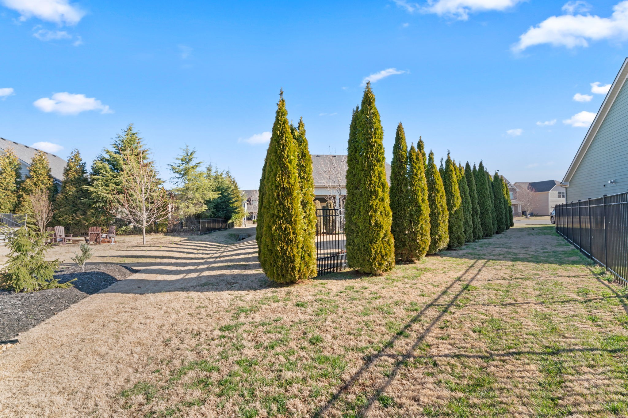 4425 Maximillion Circle Murfreesboro, TN 37128 - Photo 39 of 44 a view of outdoor space with trees