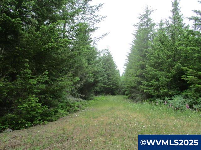 0 Gruber South Road Estacada, OR 97023 - Photo 14 of 30